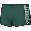 Плавки-шорты для мужчин Arena BRIGHT GLARE SWIM SHORT зеленый, белый