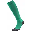 Гетры футбольные Puma Team LIGA Socks зеленый