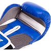 Боксерські рукавиці шкіряні Everlast MA-6759