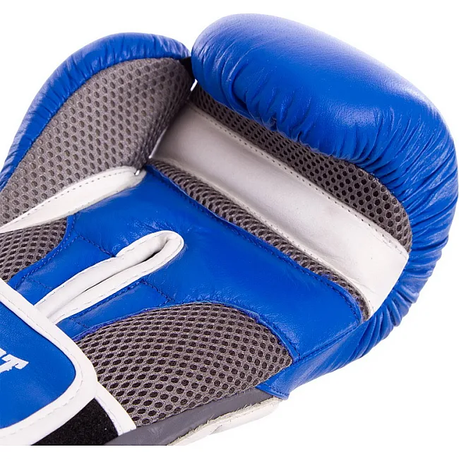 Боксерські рукавиці шкіряні Everlast MA-6759