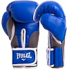 Боксерські рукавиці шкіряні Everlast MA-6759