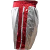 Боксерские шорты CLETO REYES Silver Skin Lycra Silver Red