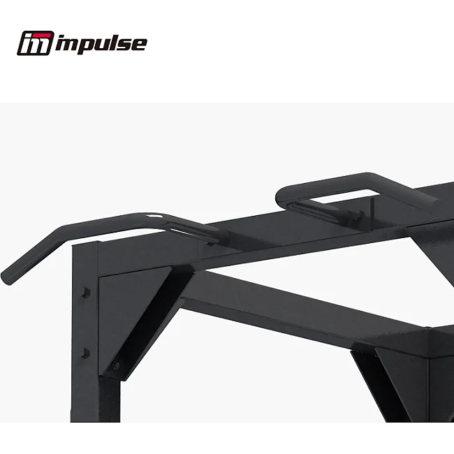 Дискодержатель для силовой рамы IMPULSE Sterling