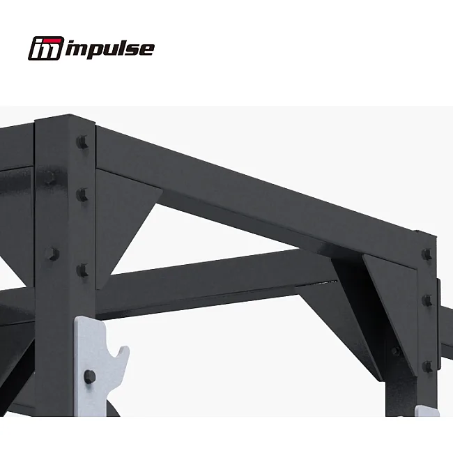 Дискодержатель для силовой рамы IMPULSE Sterling