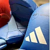 Перчатки для каратэ с лицензией WKF | синий | ADIDAS 661_22_20