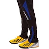 Спортивные штаны детские LINGO SPORTS LD-9106T