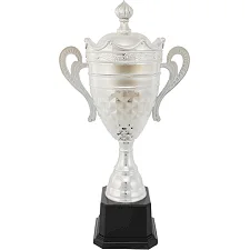 Спортивний кубок нагородний SP-SPORT King JZ19629-B 47см (Срібний)