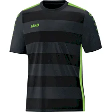 Футболка Celtic 2.0 JAKO 4205-08
