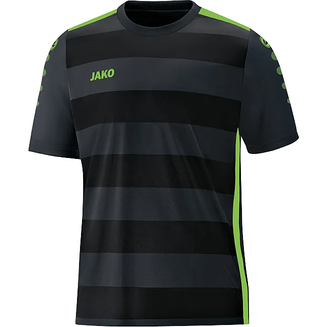 Футболка Celtic 2.0 JAKO 4205-08