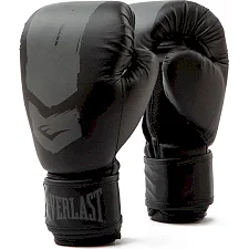 Боксерські рукавиці Everlast PROSPECT 2 BOXING GLOVE чорний, сірий 8 унцій