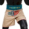 Боксерские шорты FAIRTEX BT2010 Vintage