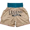 Боксерские шорты FAIRTEX BT2010 Vintage