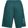 Шорты Under Armour Tech Graphic Short