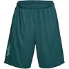 Шорты Under Armour Tech Graphic Short