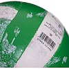 Волейбольний м'яч BALLONSTAR LG2355 №5 PU