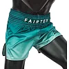 Шорти для Муай Тай FAIRTEX BS1906 Green Fade