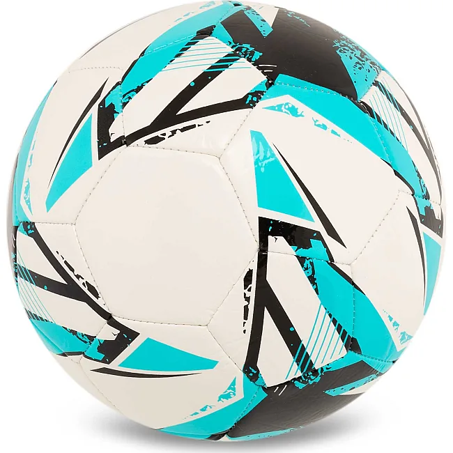 Футбольный мяч детский SELECT CLASSIC V24 CLASSIC-5WB (Белый-синий)