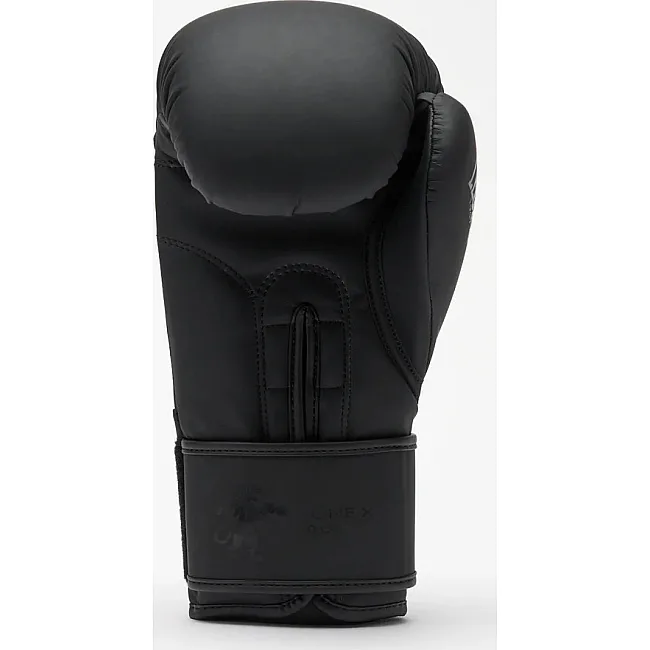 Боксерские перчатки Leone GN058 TONE X Black