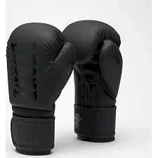 Боксерские перчатки Leone GN058 TONE X Black