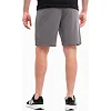 Спортивні шорти чоловічі Puma teamRISE Short сірий