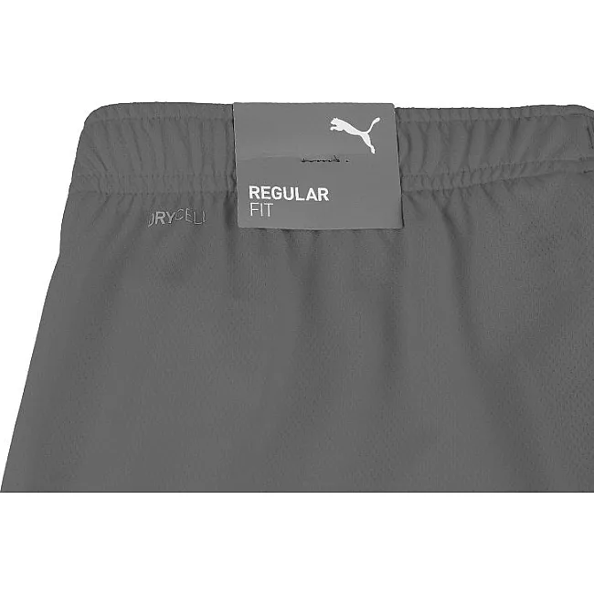 Спортивні шорти чоловічі Puma teamRISE Short сірий
