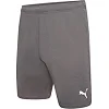 Спортивні шорти чоловічі Puma teamRISE Short сірий