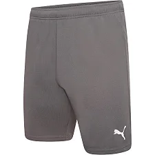Спортивні шорти чоловічі Puma teamRISE Short сірий