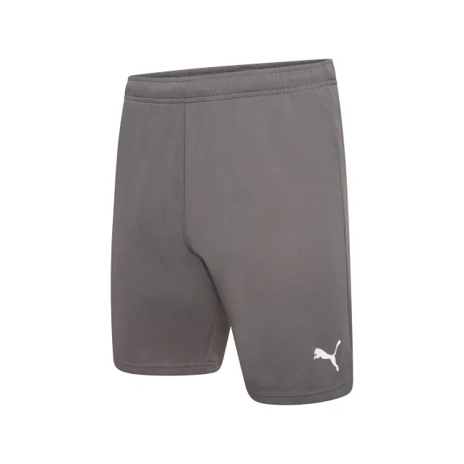 Спортивні шорти чоловічі Puma teamRISE Short сірий
