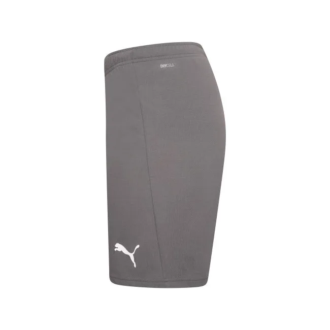 Спортивні шорти чоловічі Puma teamRISE Short сірий