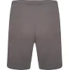 Спортивні шорти чоловічі Puma teamRISE Short сірий