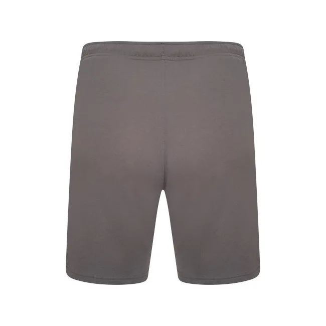 Спортивні шорти чоловічі Puma teamRISE Short сірий