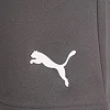 Спортивні шорти чоловічі Puma teamRISE Short сірий