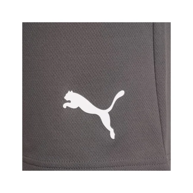 Спортивні шорти чоловічі Puma teamRISE Short сірий