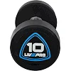 Гантелі професійні
 з поліуретановим покриттям LiveUp LP8075-10 2шт по 10кг