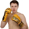 Рукавички для боксу


 шкіряні TWINS


 TW-008 10-16унцій (Золотий)