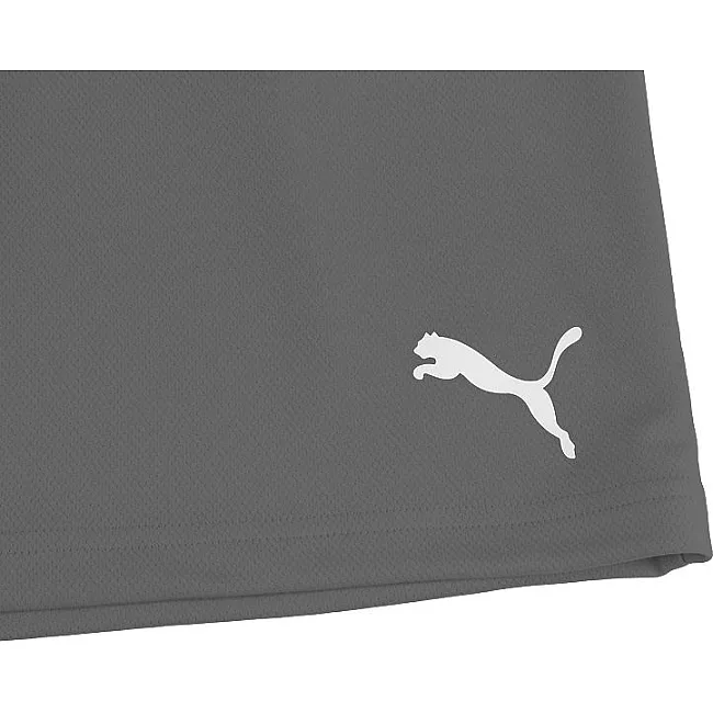 Спортивні шорти чоловічі Puma teamRISE Short сірий