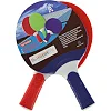 Набор для настольного тенниса GIANT DRAGON OUTDOOR MT-5684 2 ракетки