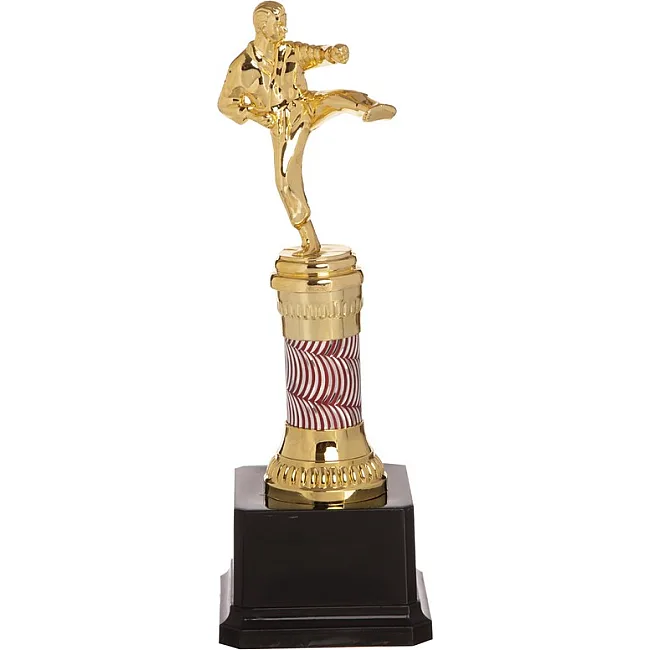 Нагорода спортивна SP-SPORT C-C3580-10