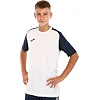 Футболка чоловіча JOMA

 ACADEMY IV 101968-203 4XS-3XL (Білий-темно-синій)