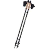 Палки для скандинавской ходьбы PowerPlay 9105 Sisu Black/Gold 80-135 см (пара)