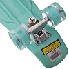 Пенни борд Penny Board круизер пластиковый со светящимися колесами 22