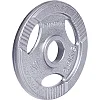Диск чугунный inSPORTline Hamerton 2,5 кг