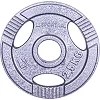 Диск чугунный inSPORTline Hamerton 2,5 кг