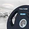 Диск олимпийский THUNDER 20 кг