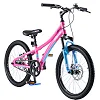 Детский велосипед ROYALBABY Chipmunk Explorer 20", OFFICIAL UA, розовый