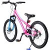 Детский велосипед ROYALBABY Chipmunk Explorer 20", OFFICIAL UA, розовый