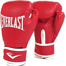 Боксерські рукавиці Everlast CORE 2 TRAINING GLOVES червоний