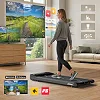 Беговая дорожка электрическая Zipro Catwalk