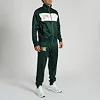Спортивний костюм Leone Premium Green