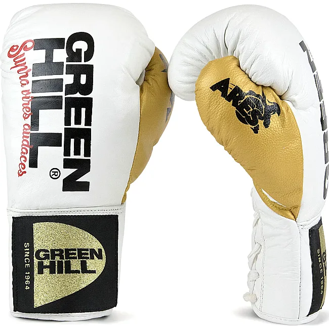 Рукавиці для професійного боксу Green Hill ARES